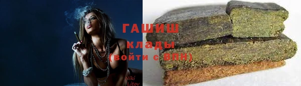 дурь Няндома
