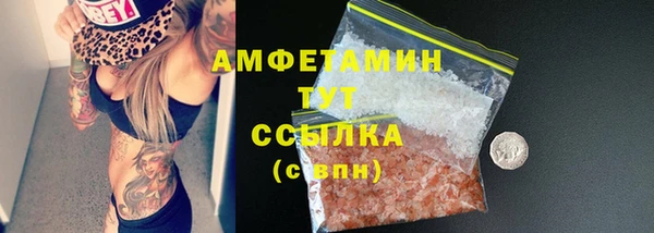 стафф Алзамай