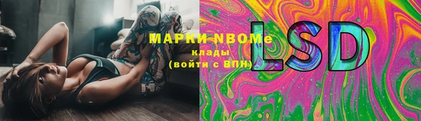 стафф Алзамай