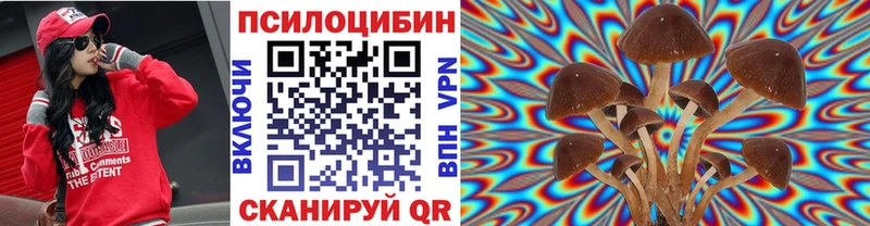 Псилоцибиновые грибы GOLDEN TEACHER  закладки  Кукмор 